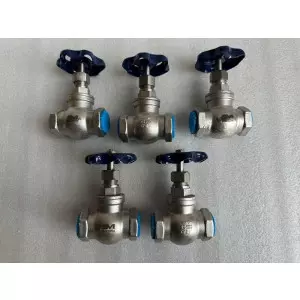 Stainless Steel Globe Valve