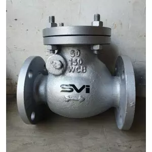 Swing Check Valve