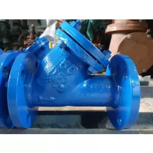 Y Type Strainers