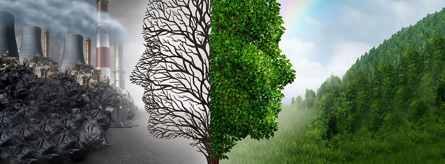 Greenera Engineering