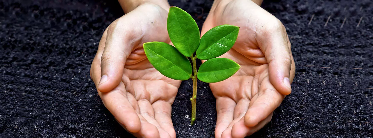 Greenera Engineering