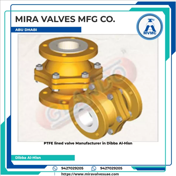 PTFE Lined Valve Showing Internal Structure With White Lining Used In Industrial Piping Systems
