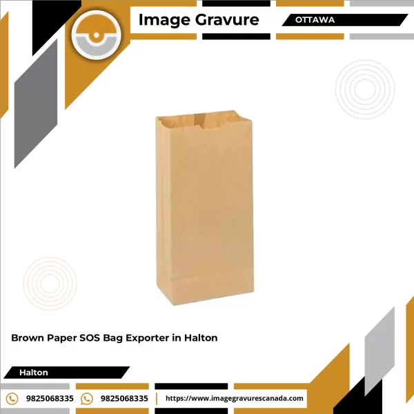 Brown Paper SOS Bag With Twisted Handles Standing Upright