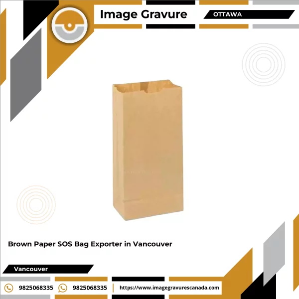 Brown Paper SOS Bag With Twist Handle For Retail Use