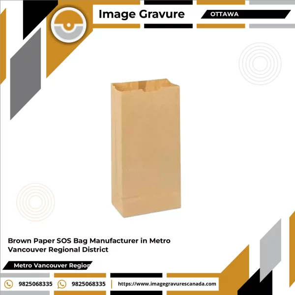 Brown Paper SOS Bag Standing Upright With Twisted Handles On Plain Background