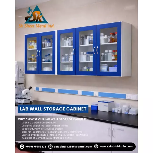 Lab Wall Storage Cabinets