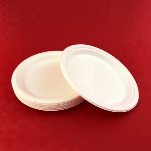 Disposal Peper Plates