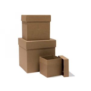 Packaging Corrugated Box