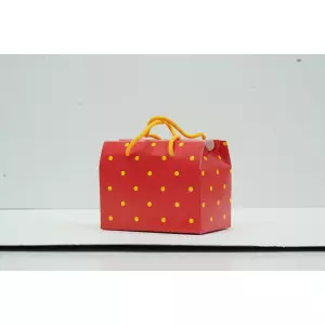 Paper Bag With Paper Handle