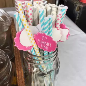 Paper Straws