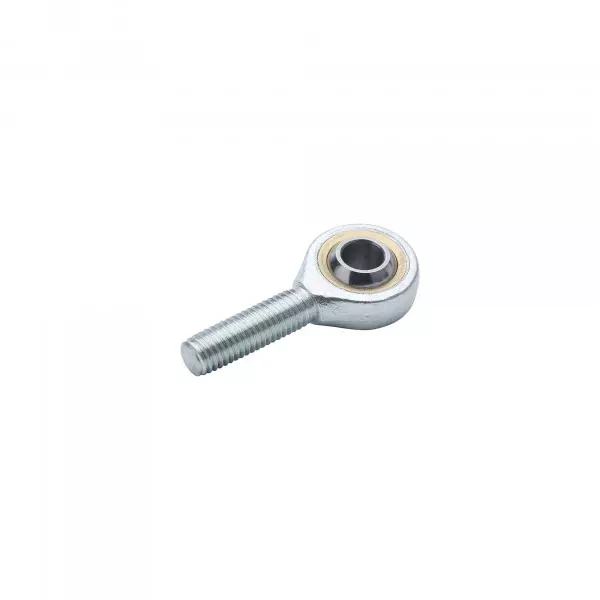 Rod Eye Male