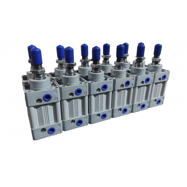 SU Pneumatic Cylinder