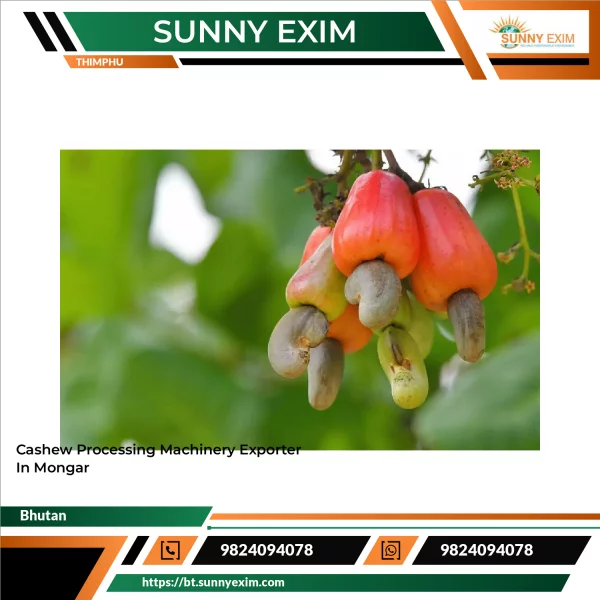 Cashew Processing Machinery Exporter In Mongar