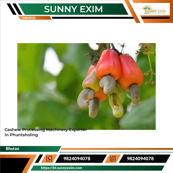 Cashew Processing Machinery Exporter In Phuntsholing