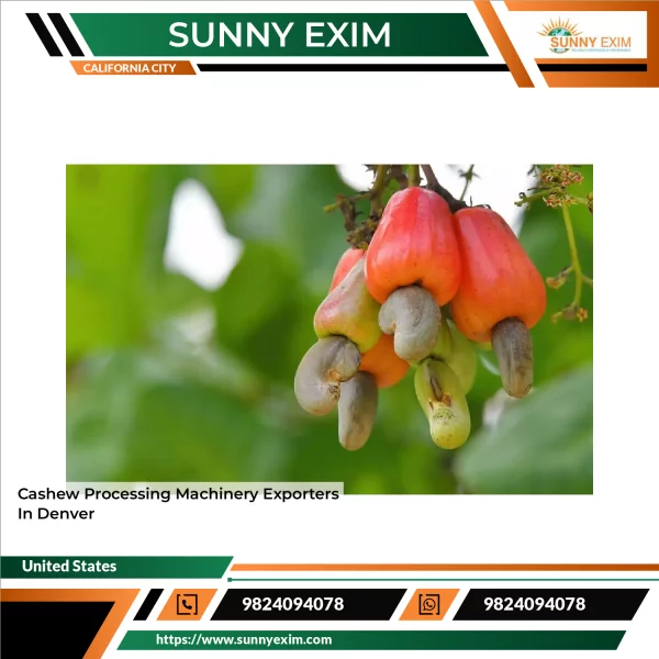 Cashew Processing Machinery Exporters In Denver