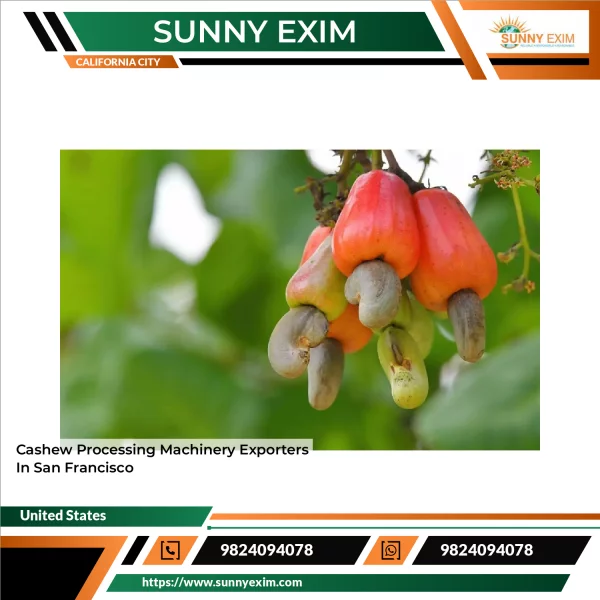 Cashew Processing Machinery Exporters In San Francisco