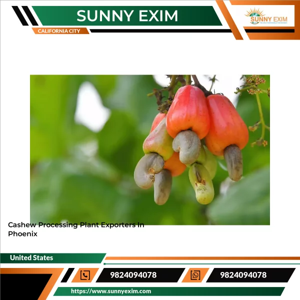 Cashew Processing Plant Exporters In Phoenix