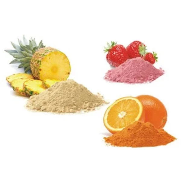 Food Spray Dried Powder Manufacturers In Kolkata