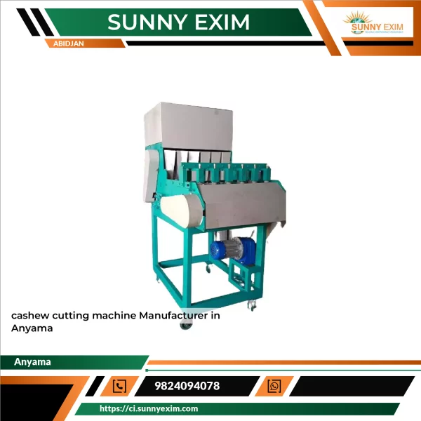 Cashew Cutting Machine Used For Industrial Food Processing