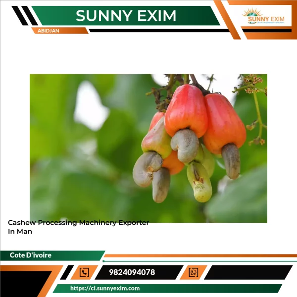 Cashew Processing Machinery Exporter In Man