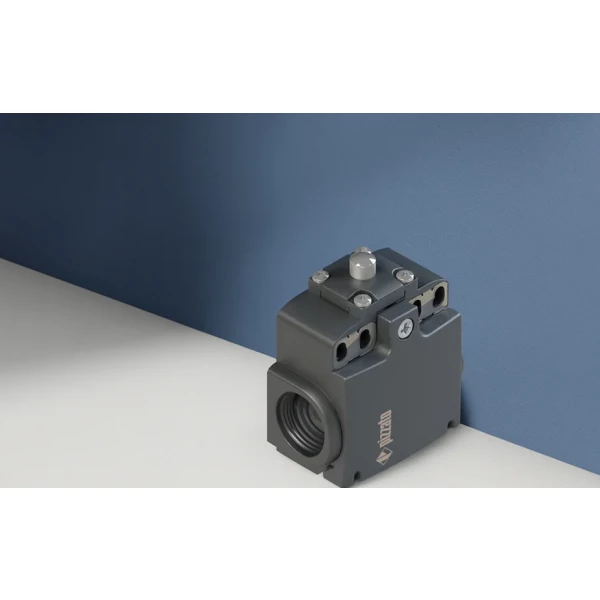 Pizzato Industrial Safety Switches