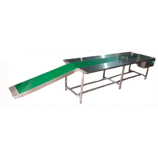 Carton Coding Conveyor System Showing Stainless Steel Frame And Adjustable Guide Rails