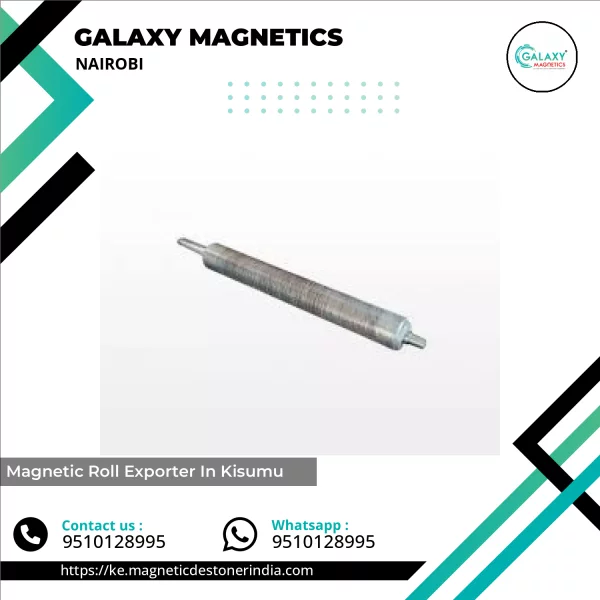 Magnetic Roll Exporter In Kisumu