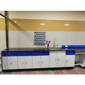 Laboratory Wall Bench