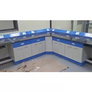 Power Coated Lab Work Station