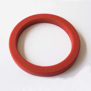 Silicone Rubber Gasket