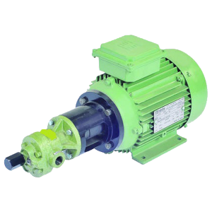 Flange Mounting Rotary Gear Pump