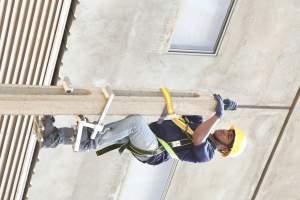 Pole Climber Umm Al Quwain