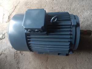 Electric Motor