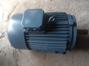Electric Motor
