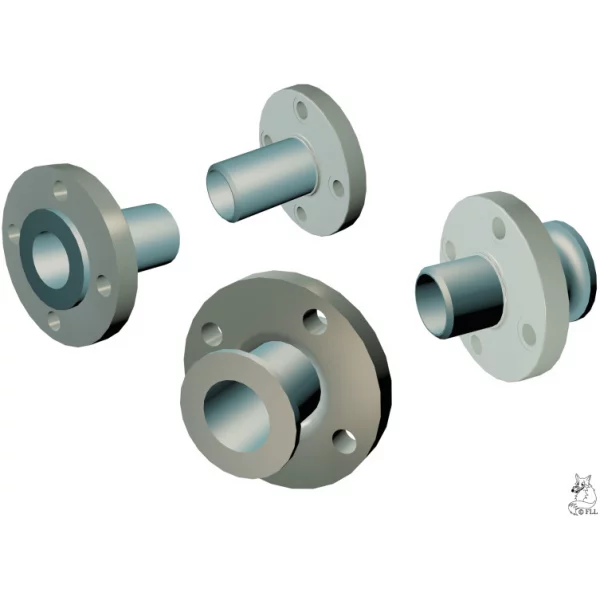 304 And 316 MS Flanges