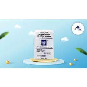 Master Coat Wall Putty