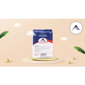 White Cement Base Wall Putty