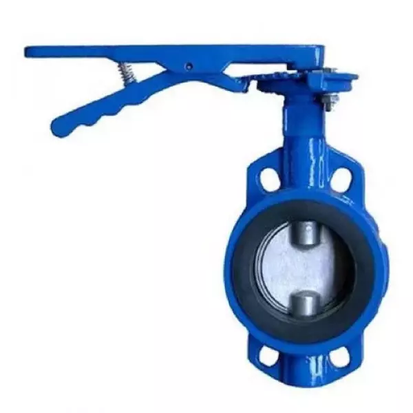 Cast Iron Butterfly Valve