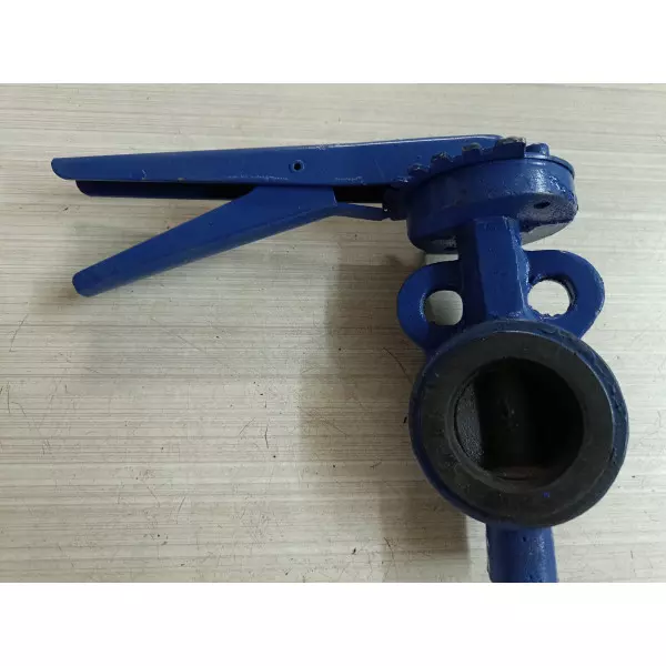 Butterfly Valve Karnataka