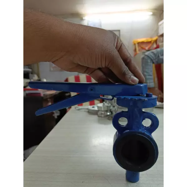 Cast Iron Butterfly Valve Manufacturer In Raipur