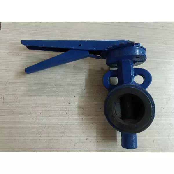 Cast Iron Butterfly Valve Supplier In Panipat