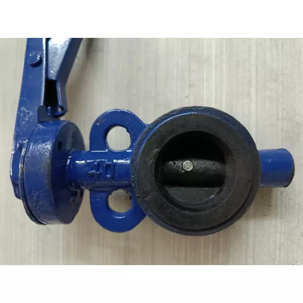 Cast Iron Butterfly Valves Supplier In Surat