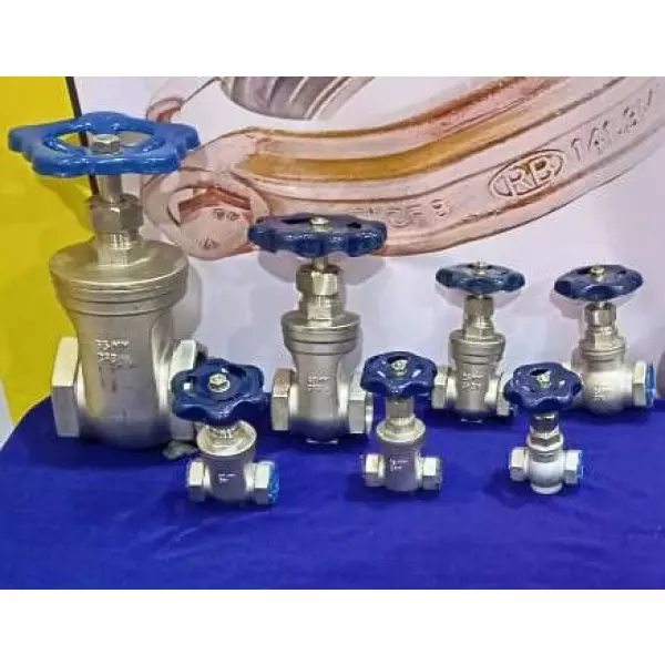 Cast Steel Globe Valve Manufacturer In Bhind