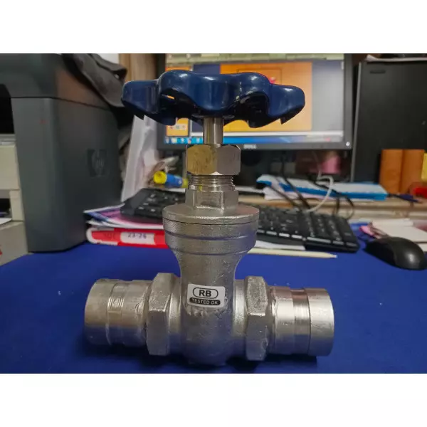 Check Valve Manufacturer In Amravati