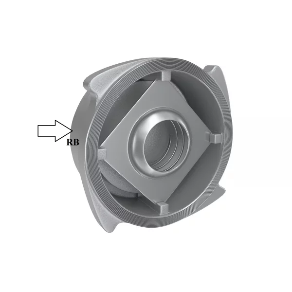 SS Disc Check Valve Supplier In Agra