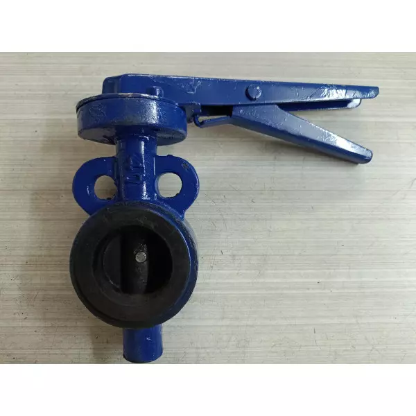 Stainless Steel Butterfly Valve Supplier In Purnia