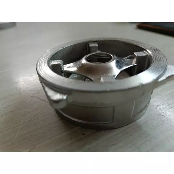 Stainless Steel Disc Check Valve Supplier In Assam