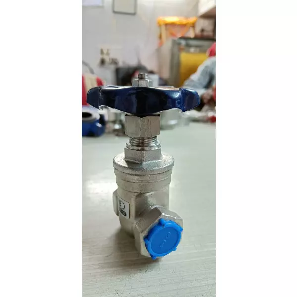 Stainless Steel Gate Valve Supplier In Tawang
