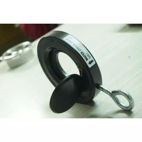 Swing Check Valve