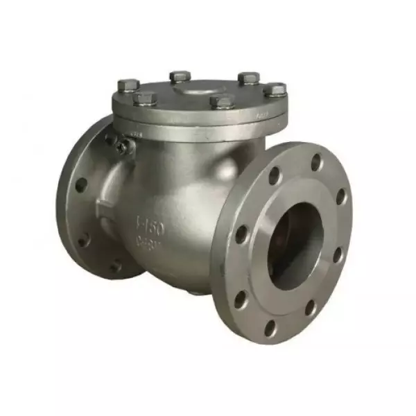 Swing Check Valve Installed In Industrial Piping System